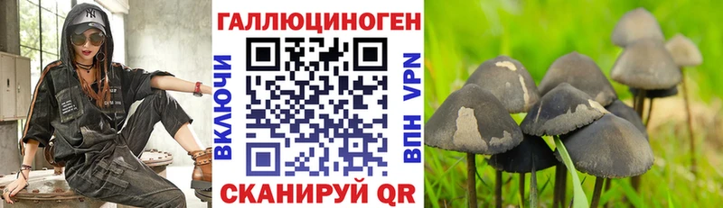 Псилоцибиновые грибы GOLDEN TEACHER даркнет сайт Катав-Ивановск